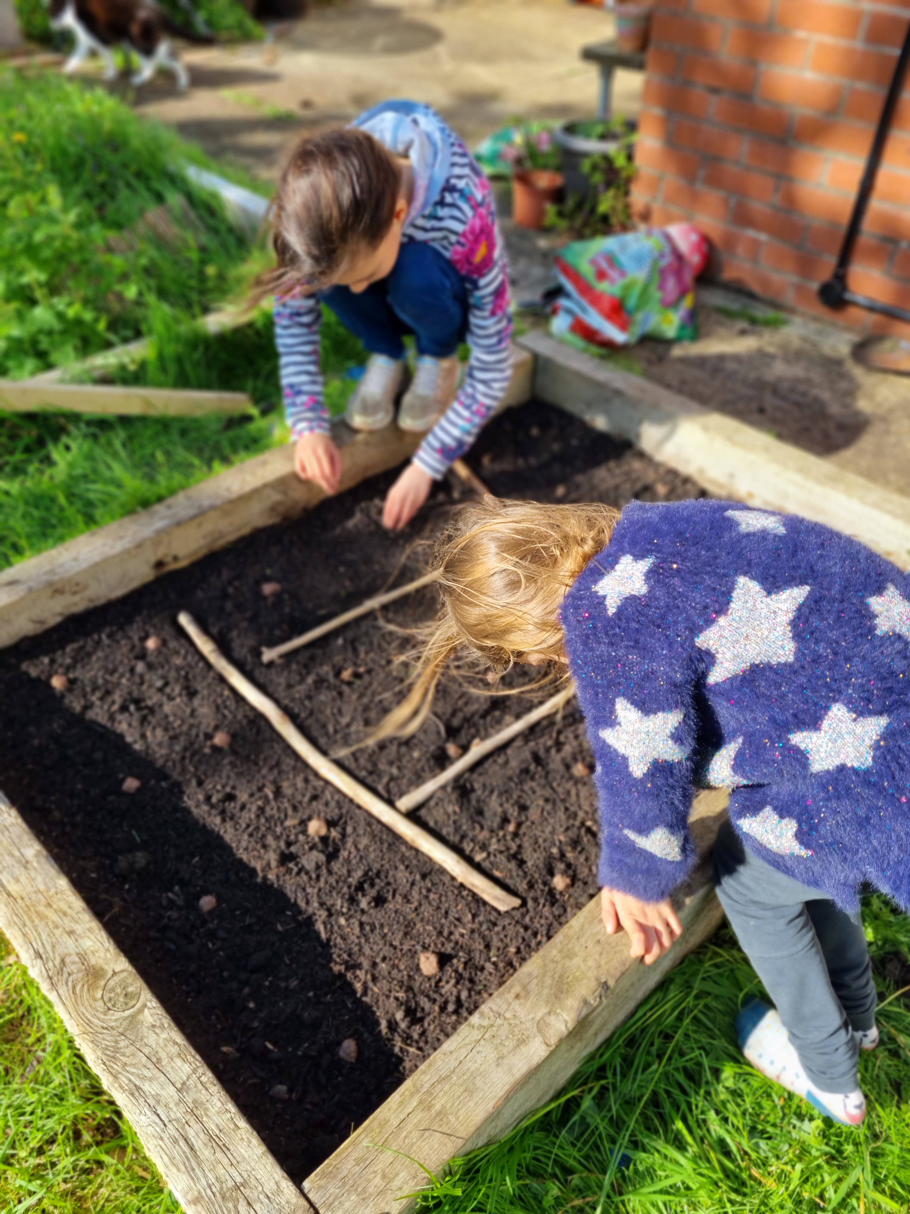 Nature Nurture Kids – wholesale DIY craft kit – Child – DIY Bat Seed Bomb Kit3