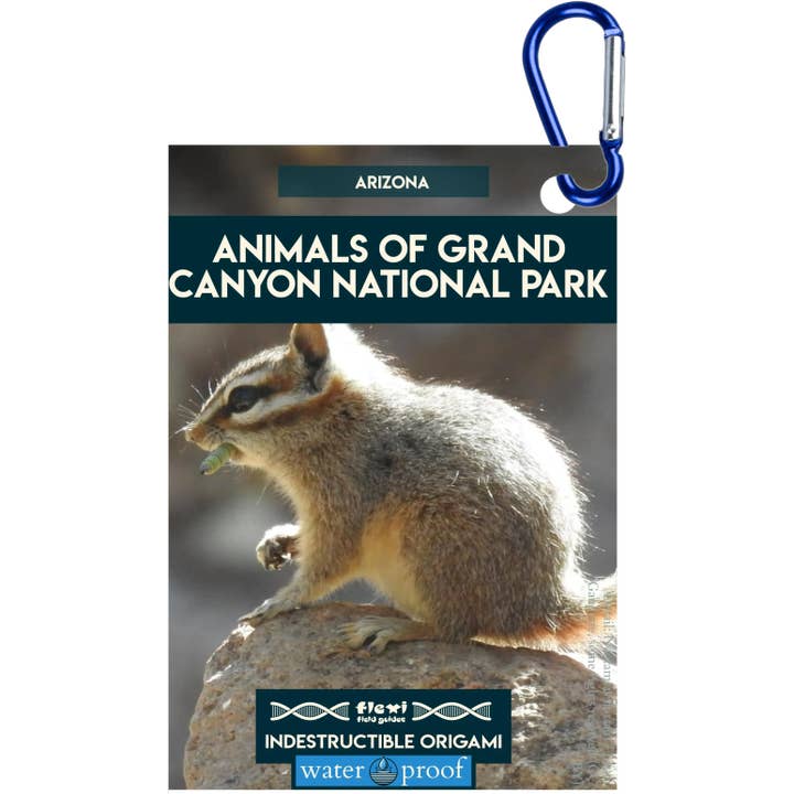 Tiere des Grand Canyon NP-Unzerstörbares Origami für den Großhandel von Flexi Field Guides