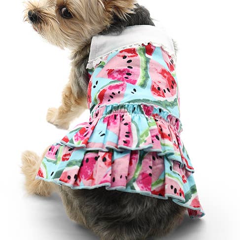 Watermelon Sundress for wholesale by Dogo Pet