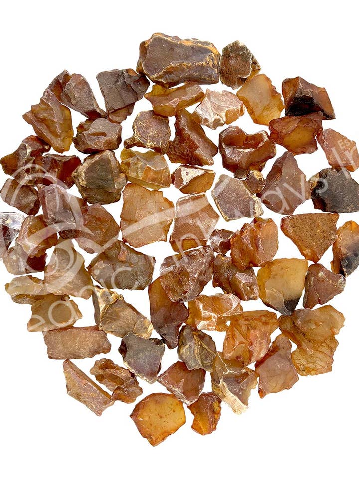 RUGUEUSE - CORNALINE 1,25 À 4 POUCES (KG) pour la vente par Oceanic Linkways Inc