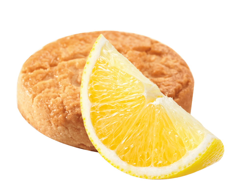 Biscuiterie La Mère Poulard - Wholesale Cookie - MYTHICAL BOX LEMON DISCS 500G4