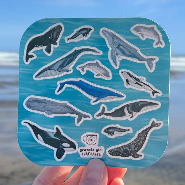 Whales of the Pacific Northwest Sticker Sheet- Hand-Painted Durable Nature Art for wholesale by Granola Girl Outfitters