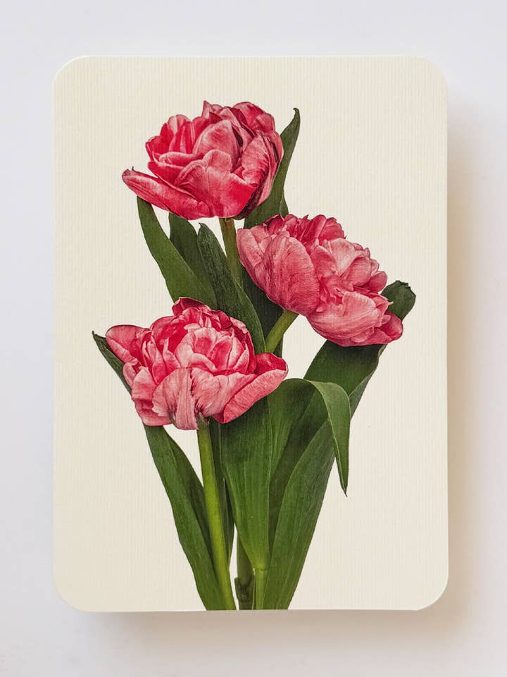 Pink Tulips Greeting Card | Birthday Card | Luxury Cards for wholesale by Canonbury Press