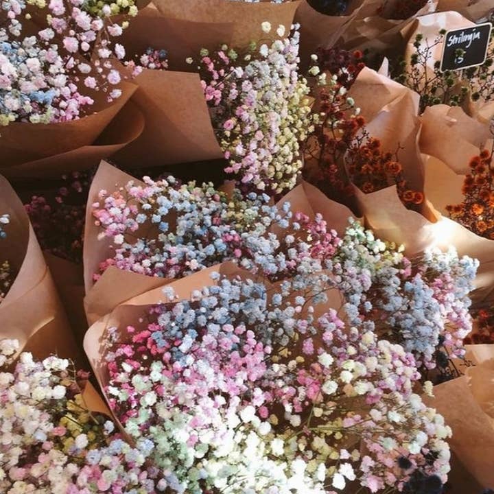 Kenty Home – wholesale Dried/pressed flowers – Dried gypsophila flower bouquet