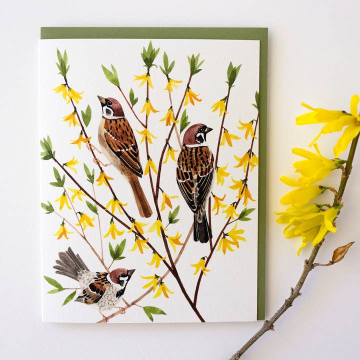 Sparrows and Forsythia Greeting Card for wholesale by May We Fly