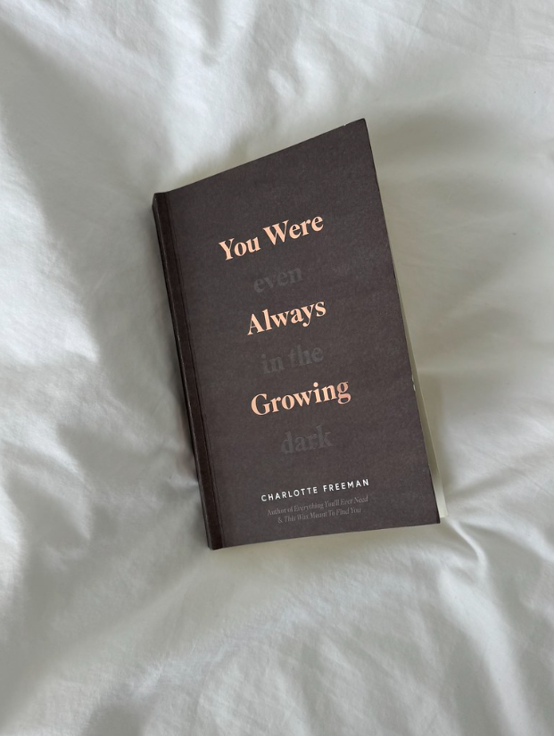 Thought Catalog - Wholesale Self-Help & Personal Development - You Were Always Growing (Even In The Dark) - book5