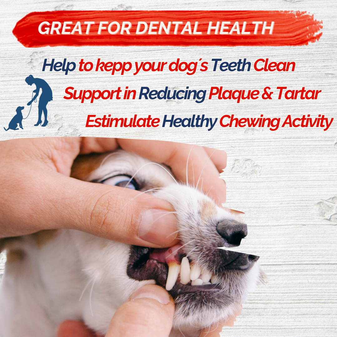 Fresh Farms Pet - Wholesale Pet Treats - Dog - Fresh Farms 2 Pounds Sweet Potato & Chicken Jerky Dog Treats, Rawhide Free2