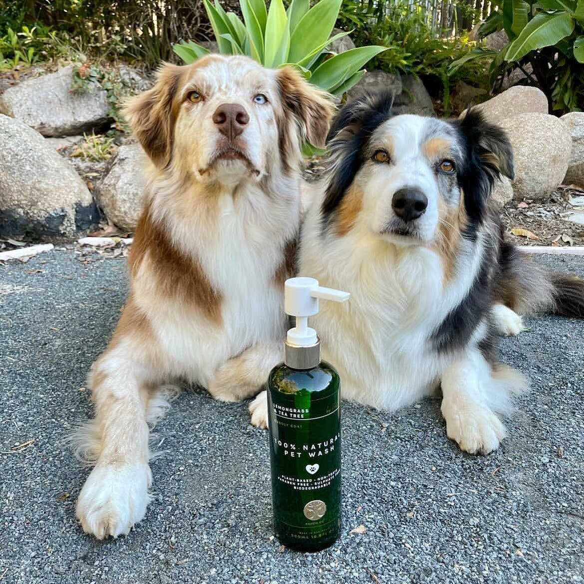 nontre.co - Wholesale Pet Cleaning Supplies - Pet Wash 500ML, 100% Naturally Protective7