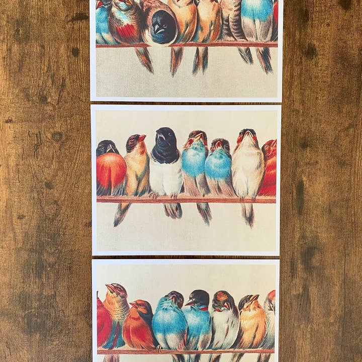 Set Of 3 Art Prints Of Hector Giacomelli Perch Of Birds for wholesale by Magnifique Hearts