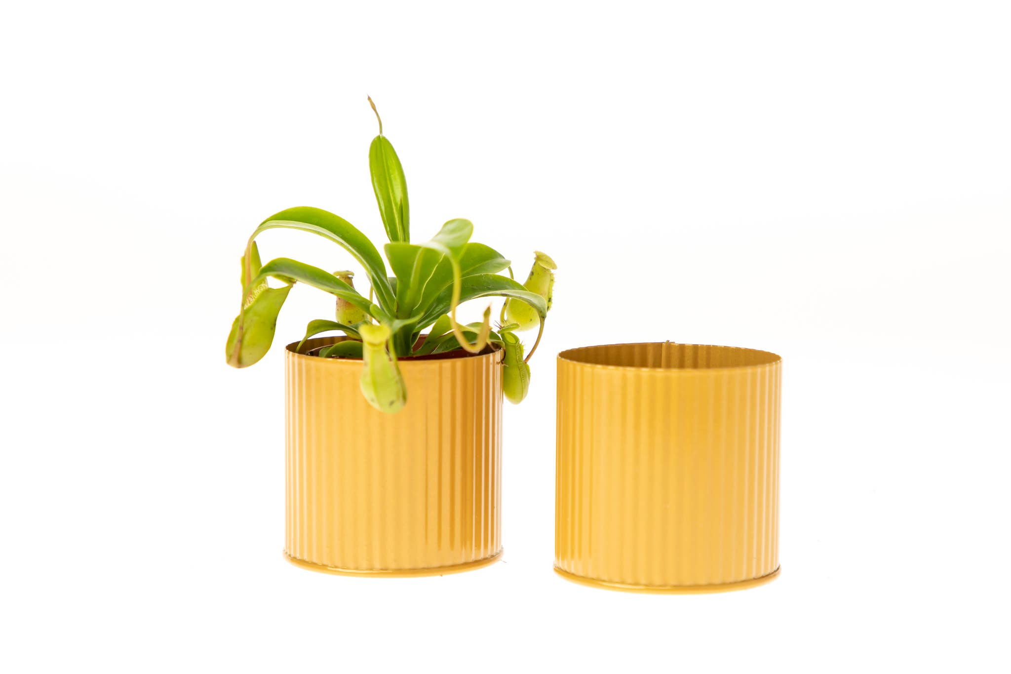 UNIMIX FLORAL – wholesale Vase – Tin Galvanized Pot Wedding, Event & Everyday 5"x5"3