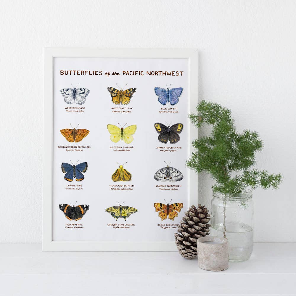Yardia - Wholesale Art Print - Butterflies of the Pacific Northwest - 11" x 14" Art Print1