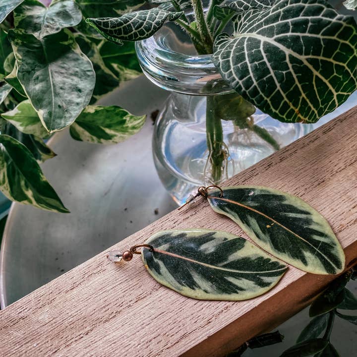 hethr - Wholesale Dangle Earrings - Variegated Rubber Plant Leaf Earring, Magnet, Pin, Decor
