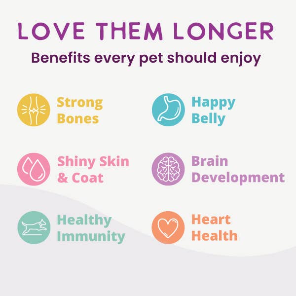 Health Extension Pet Care - Wholesale Pet Food - Dog - Gently Cooked Chicken And Pumpkin Recipe13