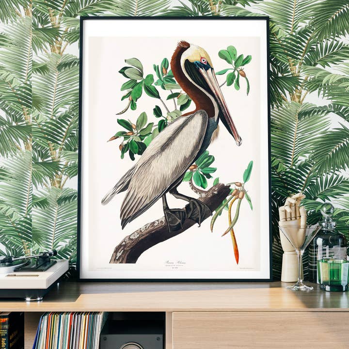 Brown Peilcan vintage print for wholesale by Ink & Drop