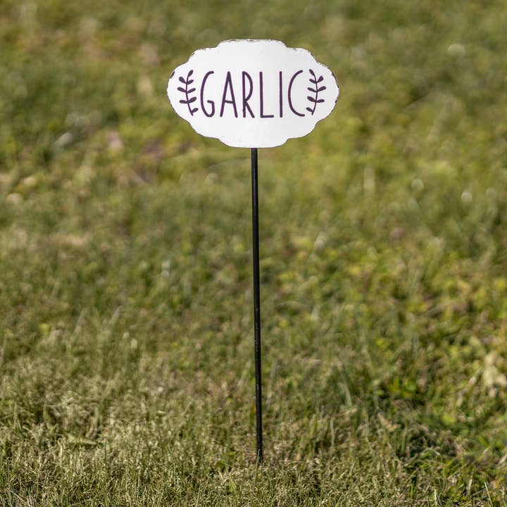 GARLIC GARDEN STAKE for wholesale by Ragon House