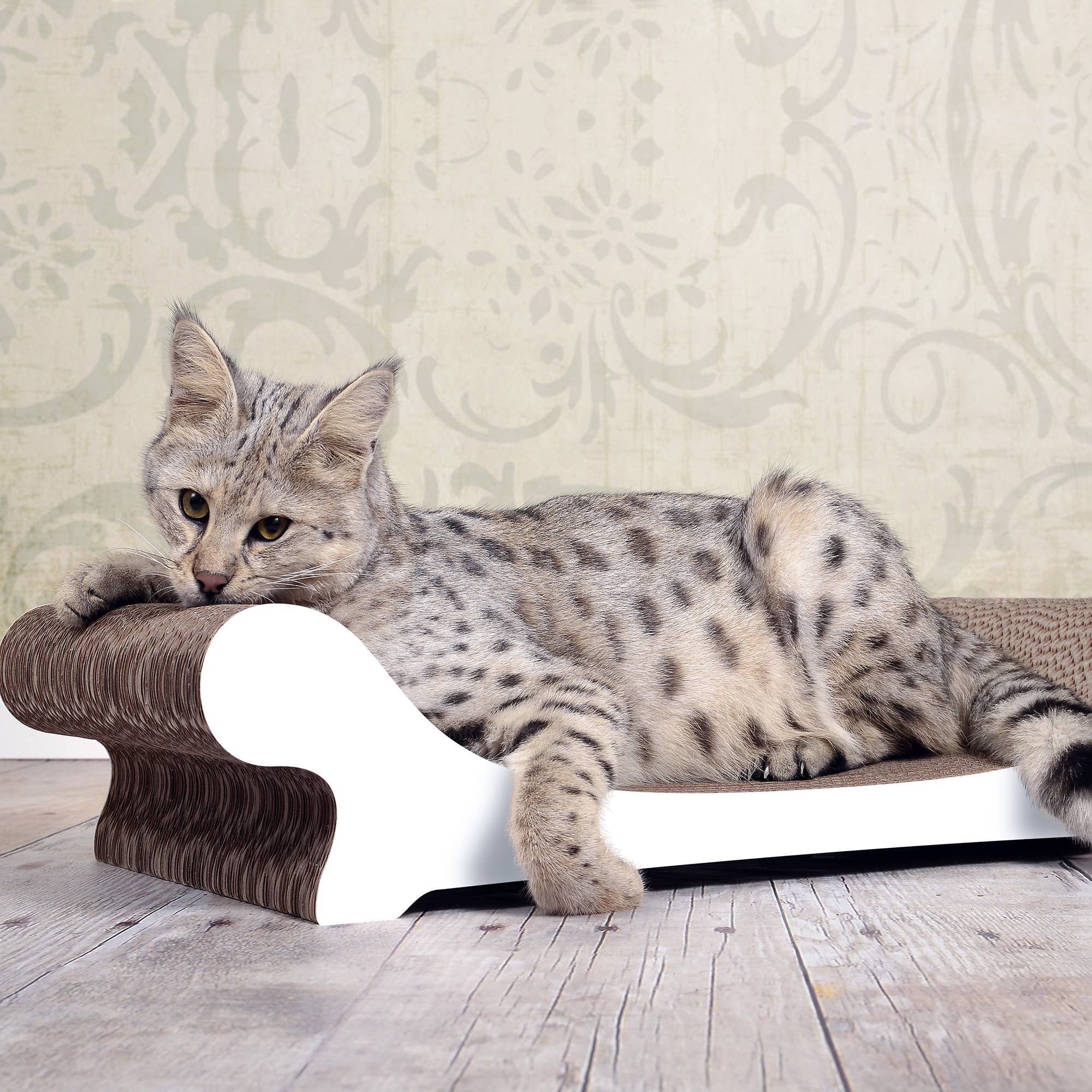 cat-on - Wholesale Pet Scratcher - Cat - Design cat furniture LE CANAPÉ3