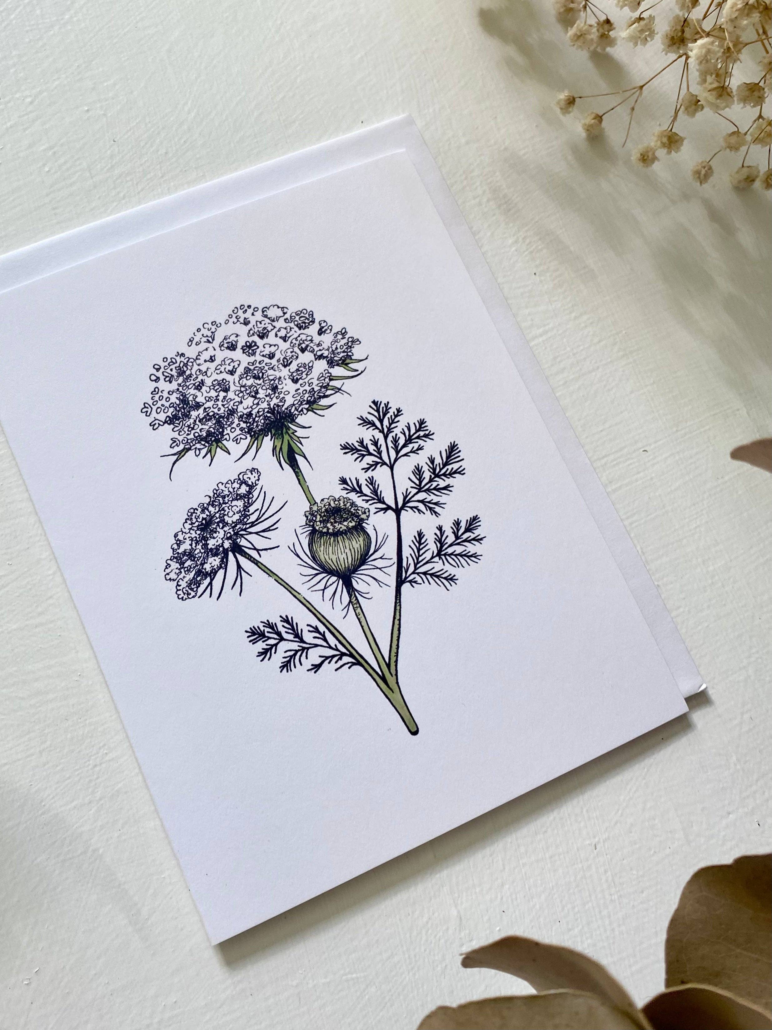 Wanderite – wholesale Everyday greeting card – Queen Anne's Lace Blank Card1