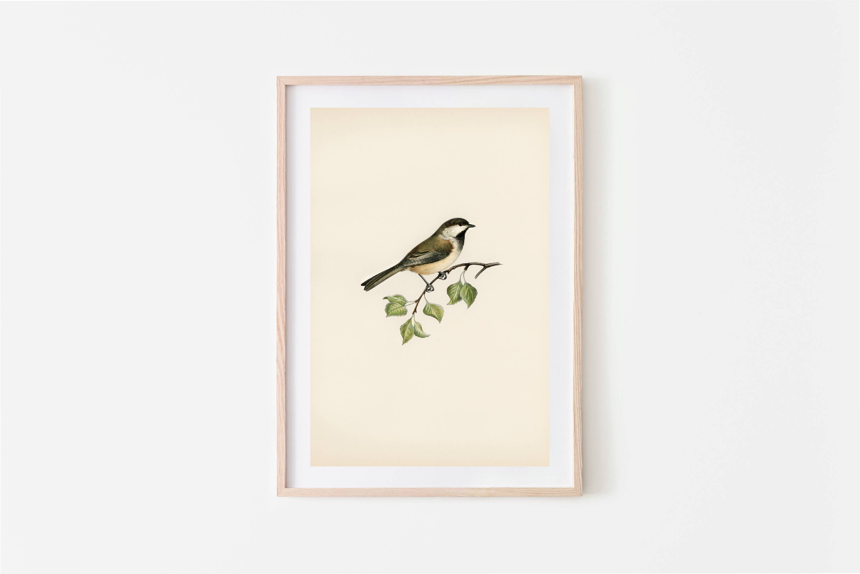 Pink Lemon Decor - Wholesale Art Print - Vintage Art Print2