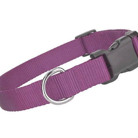 Parisian Pet® - Wholesale Pet collar – Dog - Lilac Nylon Dog Collar – Lightweight, Strong Pet Collar