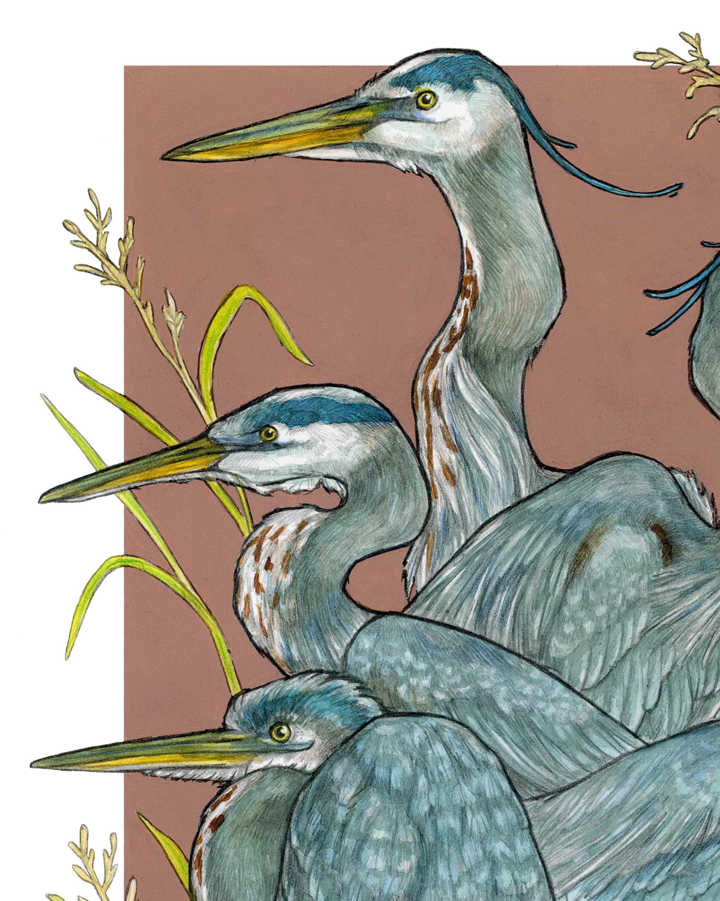 Sarah Draws Things - Wholesale Art Print - A Siege of Herons - Archival Print 2
