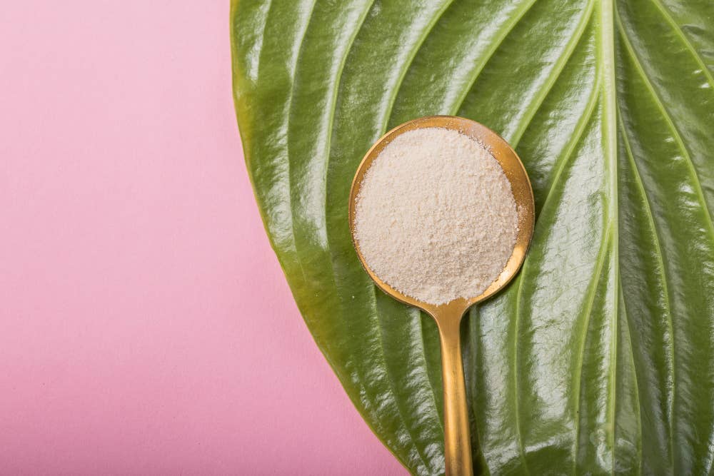 HECOSFAIR - Wholesale Protein/Superfood Powder - Organic agar agar in pure powder from France - 400g1