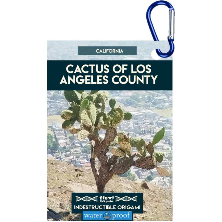 Cactus della Contea di Los Angeles-Indistruttibile Origami per la vendita all'ingrosso da parte di Flexi Field Guides