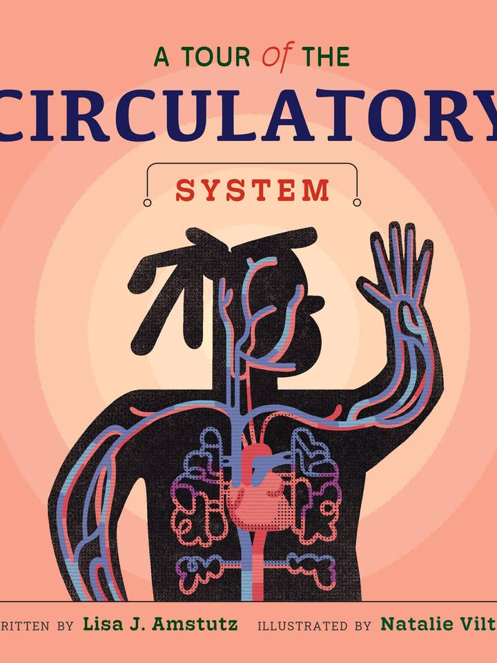 A Tour of the Circulatory System for wholesale by Amicus Publishing
