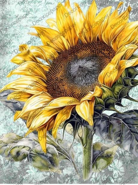 DRP085 - Papier de riz A4 pour la vente par Decoricepaper