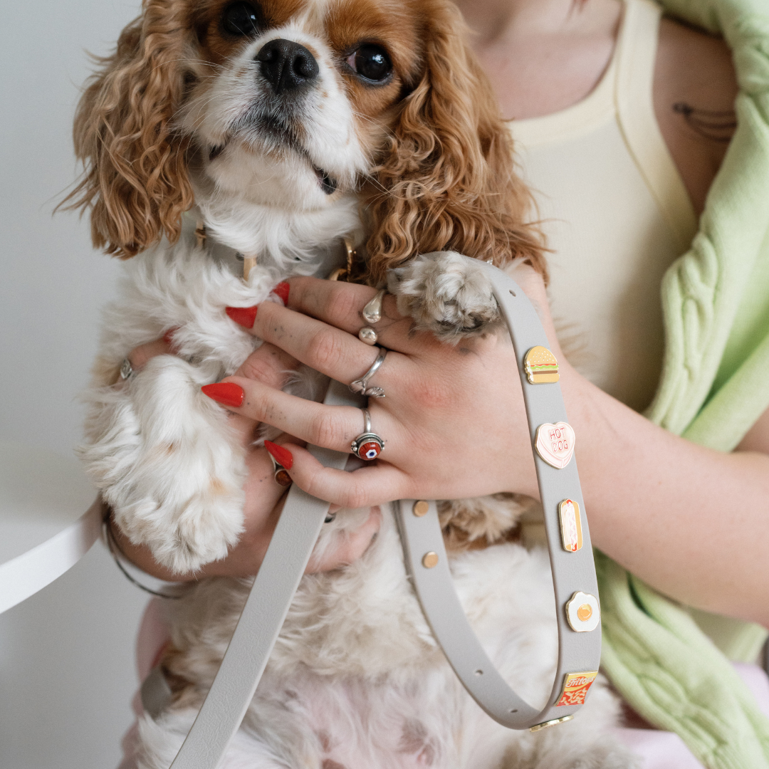 Furei Pets – wholesale Hundkoppel - Hund – Moodies koppel1