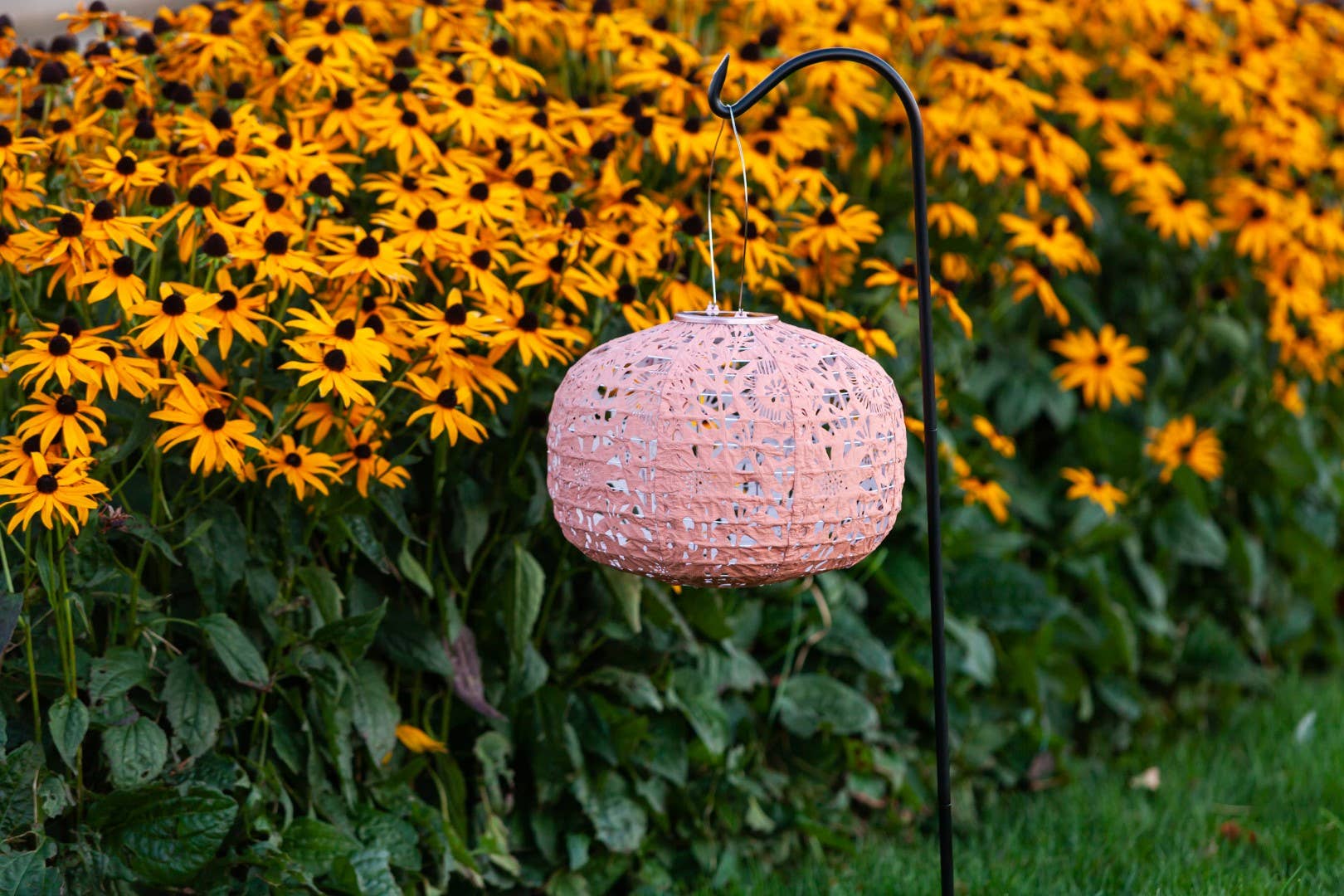 Allsop Home & Garden - Wholesale Outdoor/Lawn Light - Stella Square Sunflower 11" Solar Lantern - Clay20
