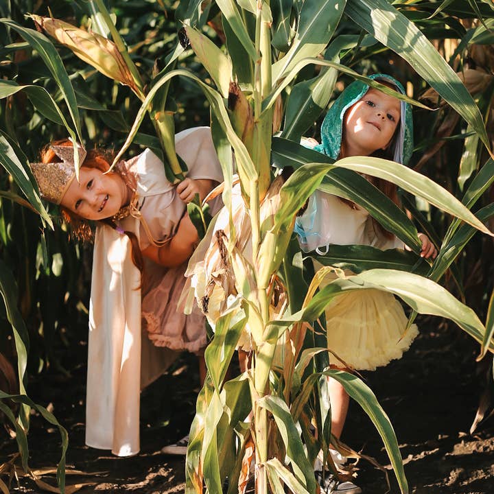 Set magico per bambini «Paillettes in oro rosa» e ulteriori Risultati per creare bigiotteria all'ingrosso. Resi gratuiti e termini di pagamento a 60 giorni su Faire in tendenza su Faire.