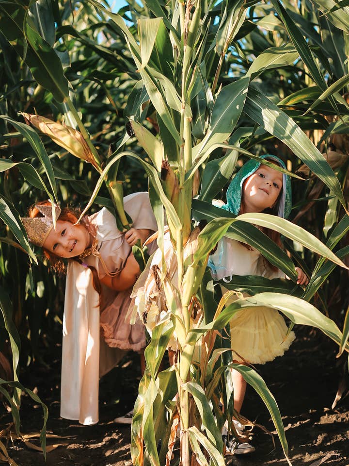 Magic set for the kids "Rose gold sequins" for wholesale by Moi Mili