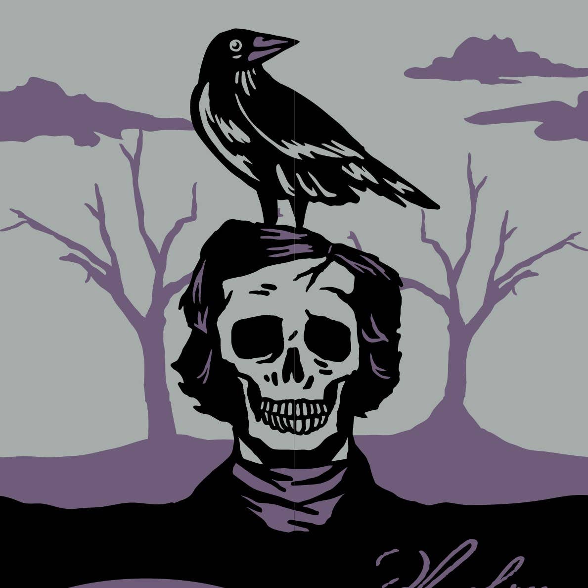 FootClothes LLC - Wholesale Sokken - Uniseks - The Raven Poe sokken10