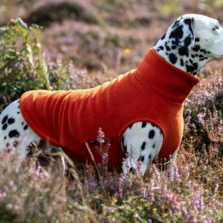 Doghouse - Vente Pull – chien - Pull polaire pour chiens de très grande taille9