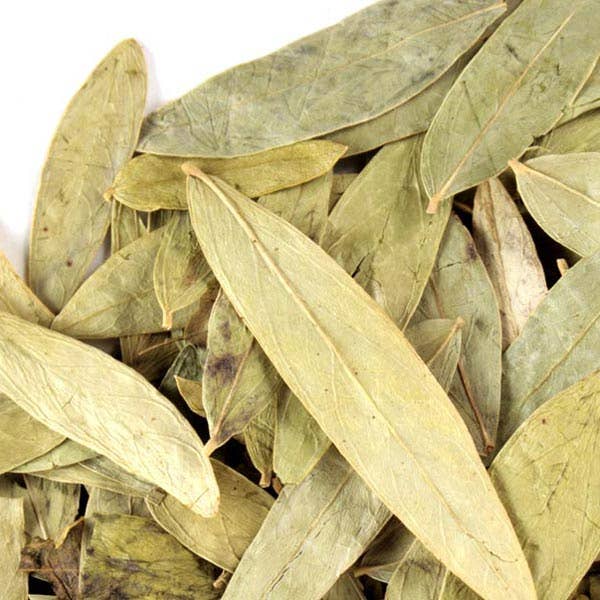 Cleanse Parasites - Wholesale Loose Tea - Senna Tea - Loose Leaf - Detox, Bowel Movement, Laxative