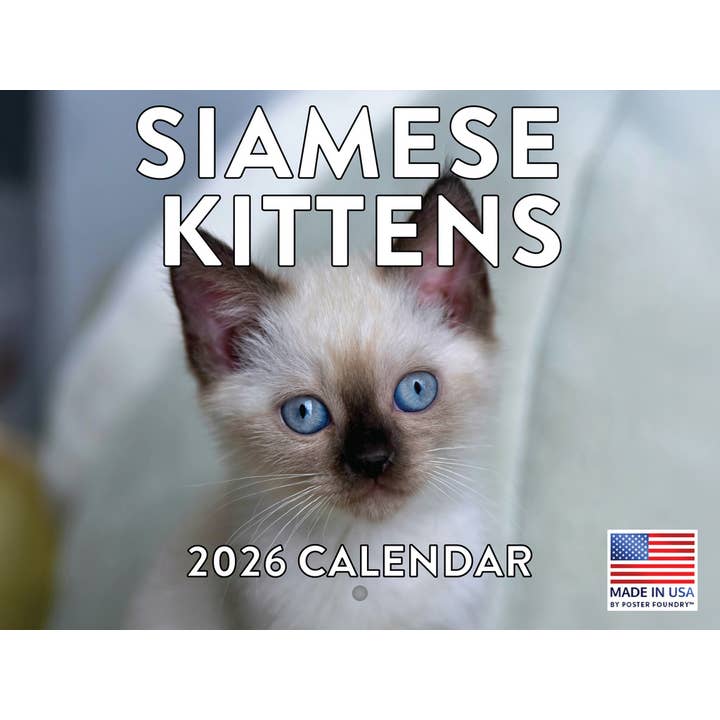 Siamese Kitten Calendar 2026 Cat for wholesale by 2026 Calendars