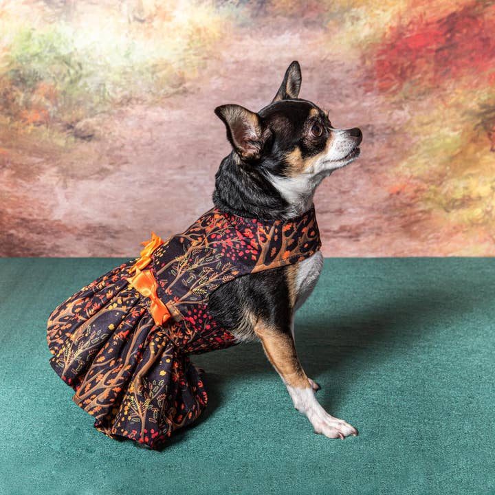 Doggie Design - Wholesale Pet Dress - Dog - Fall Leaves Dog Harness Dress w/ Matching Leash