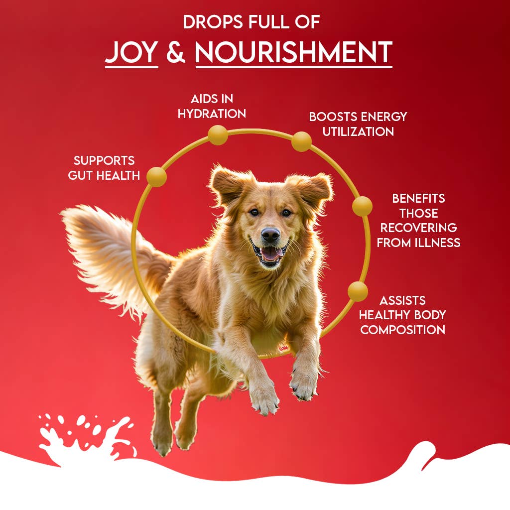 Finest Petfoods - Wholesale Pet Supplement - Dog - Pawfect Dog Goat Milk Pomegranate & Cranberry 120 gr.7