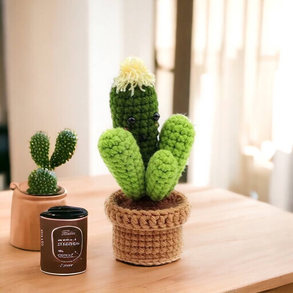Anh2 LTD - Wholesale Decorative Tabletop Object - Crochet Cactus Plant Pot, Home Office Decor for Plant Lovers1