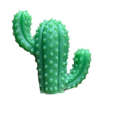 Plunk Soap - Wholesale Bar Soap - Cactus Soap | Succulents | Party Favors | Western Theme Gift1