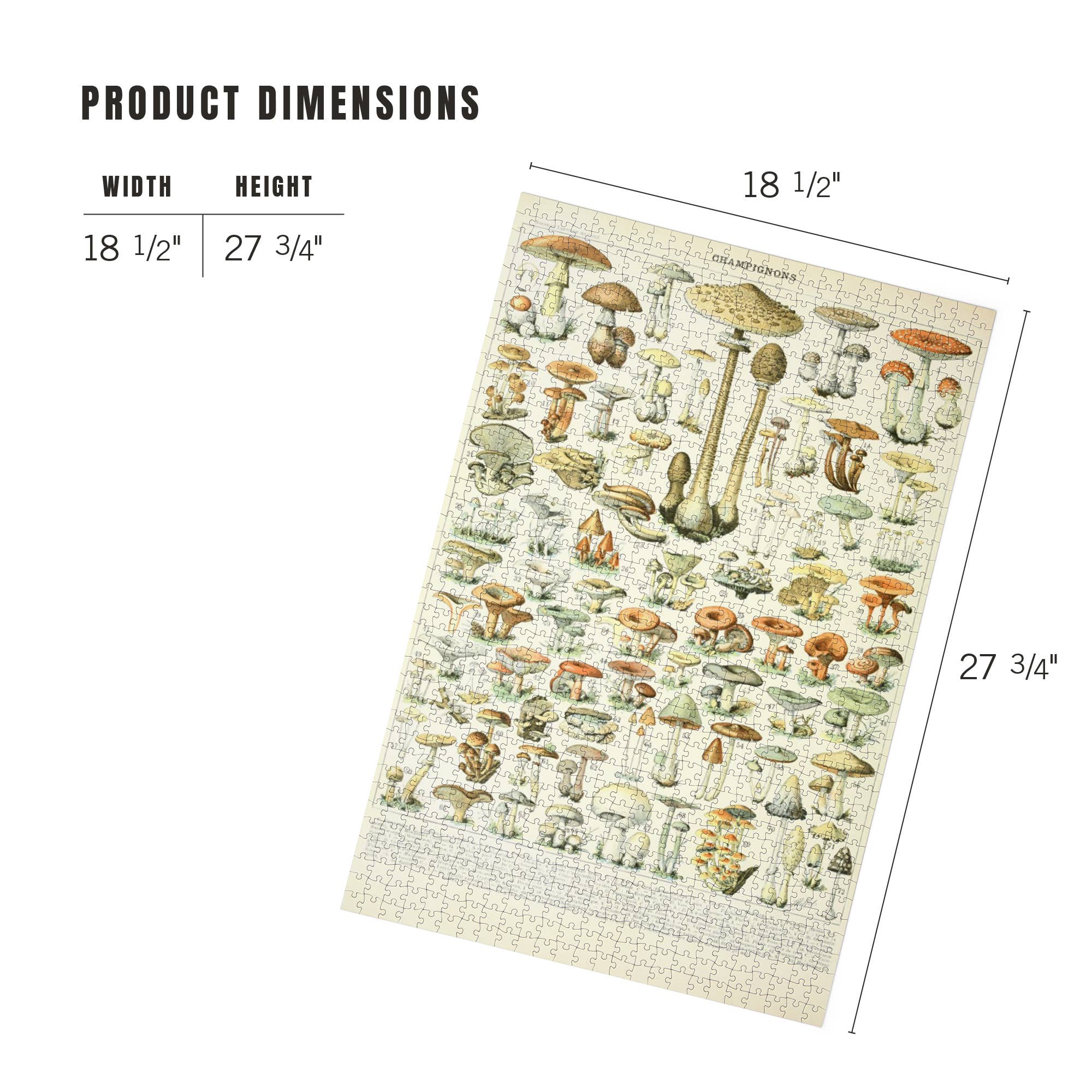 Lantern Press – wholesale Puzzle – Adult – 1000 PIECE PUZZLE Mushrooms, B, Vintage Bookplate4