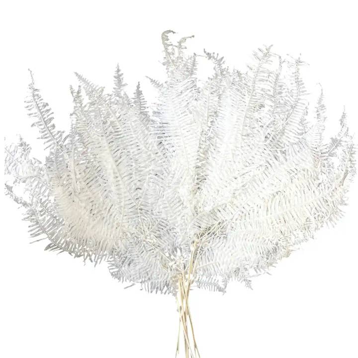 Blekt Bergbräken för wholesale på Faire