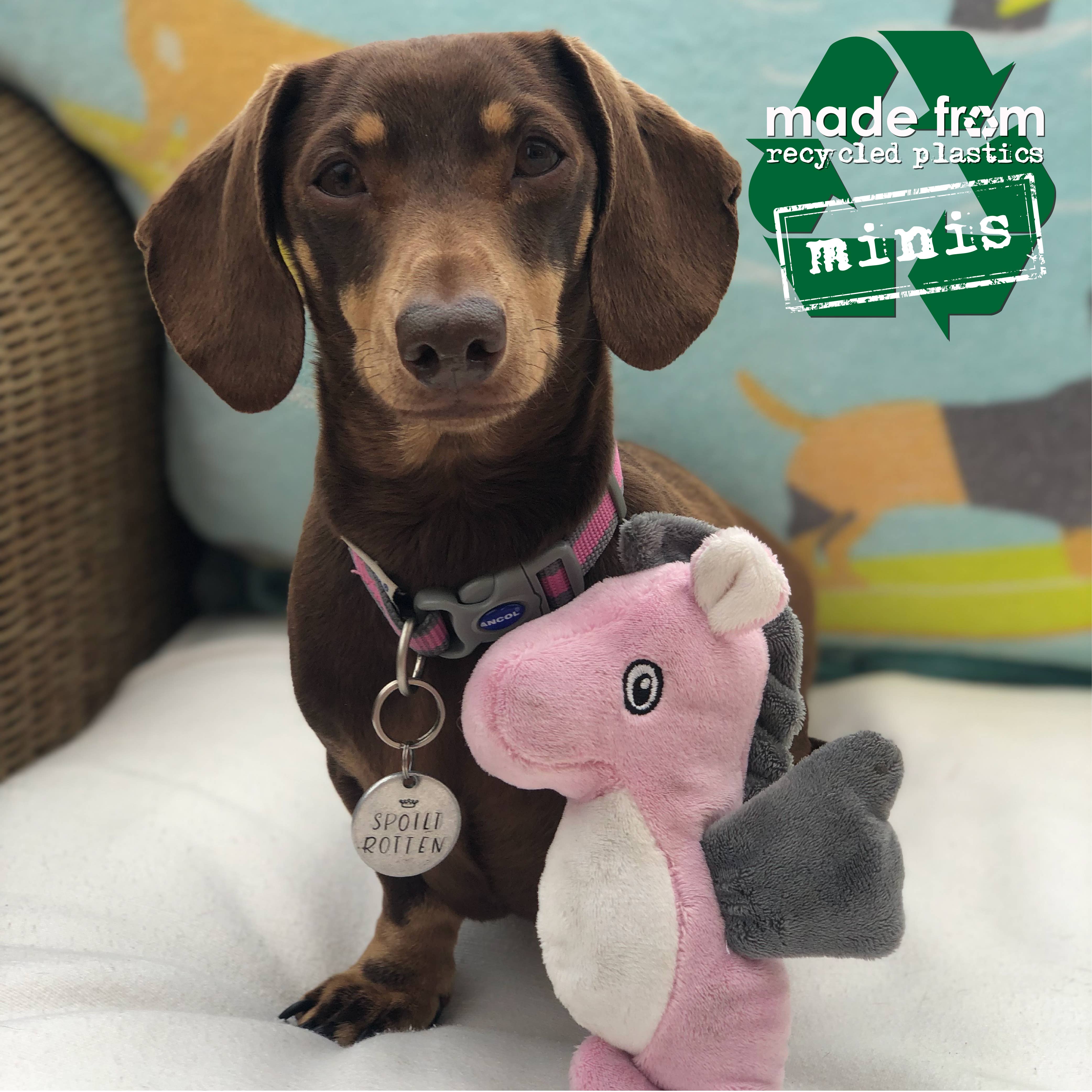 Ancol Pet Products Ltd – wholesale Pet plush toy – Dog – Made From Mini Turtle Seal And Seahorse3