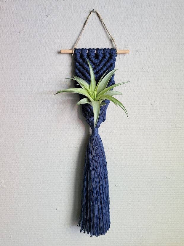 Air Plant Hanger — Gebürsteter Meerjungfrauenschwanz — für den Großhandel von Mother of Pearl Handmade Goods