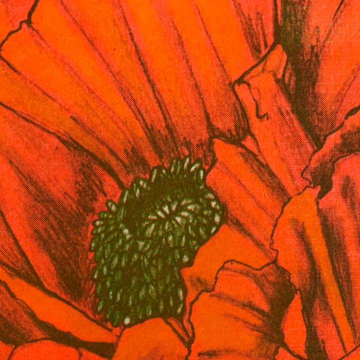 Psychedelic Lens - Wholesale Art Print - Poppy Risogprah Print2