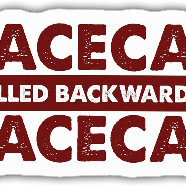Racecar Spelled Backwards is Racecar Racing Sticker for wholesale by Lyrical River Designs