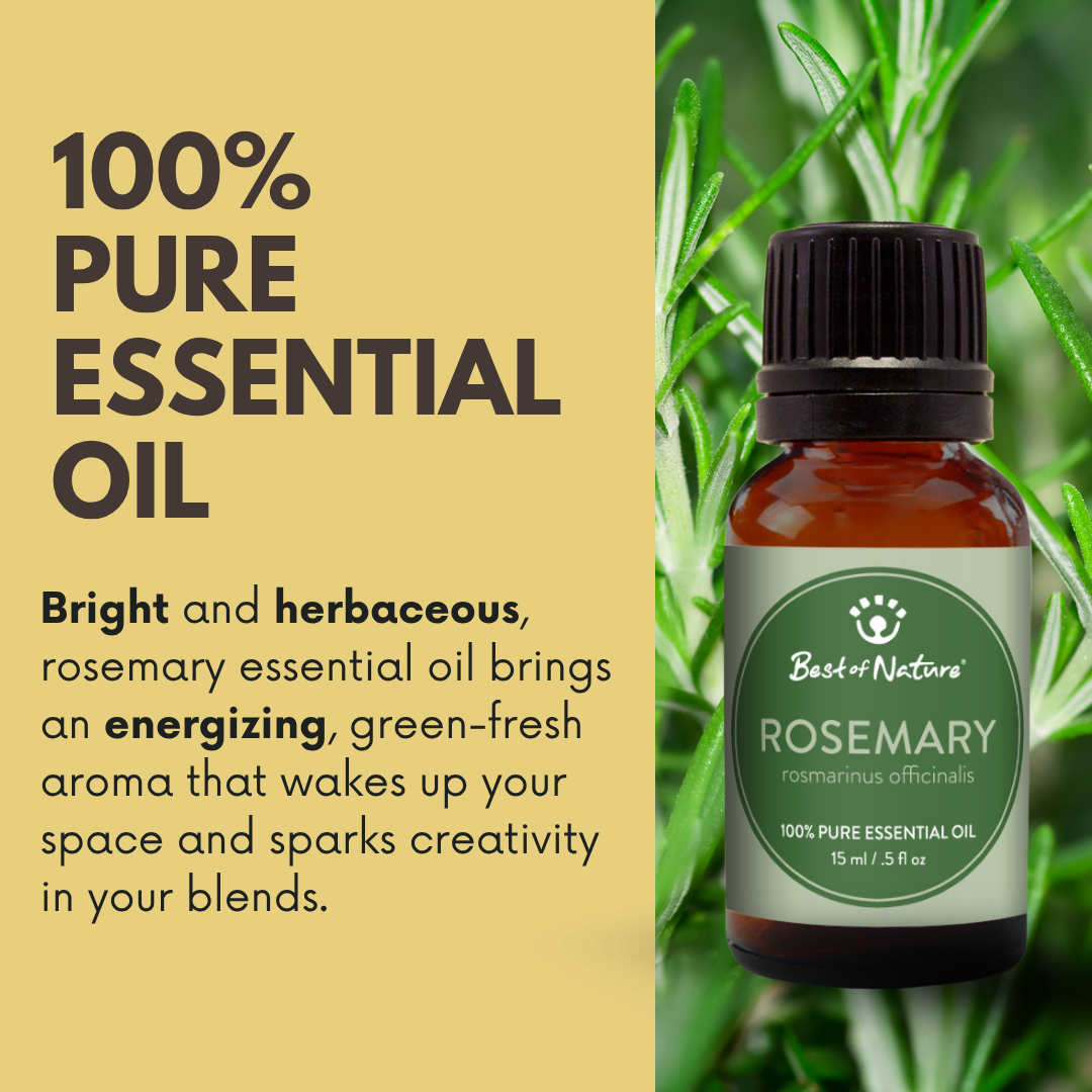 Best of Nature - Wholesale Essential Oil - Rosemary Essential Oil, 100% Pure - 15ml / 100ml1