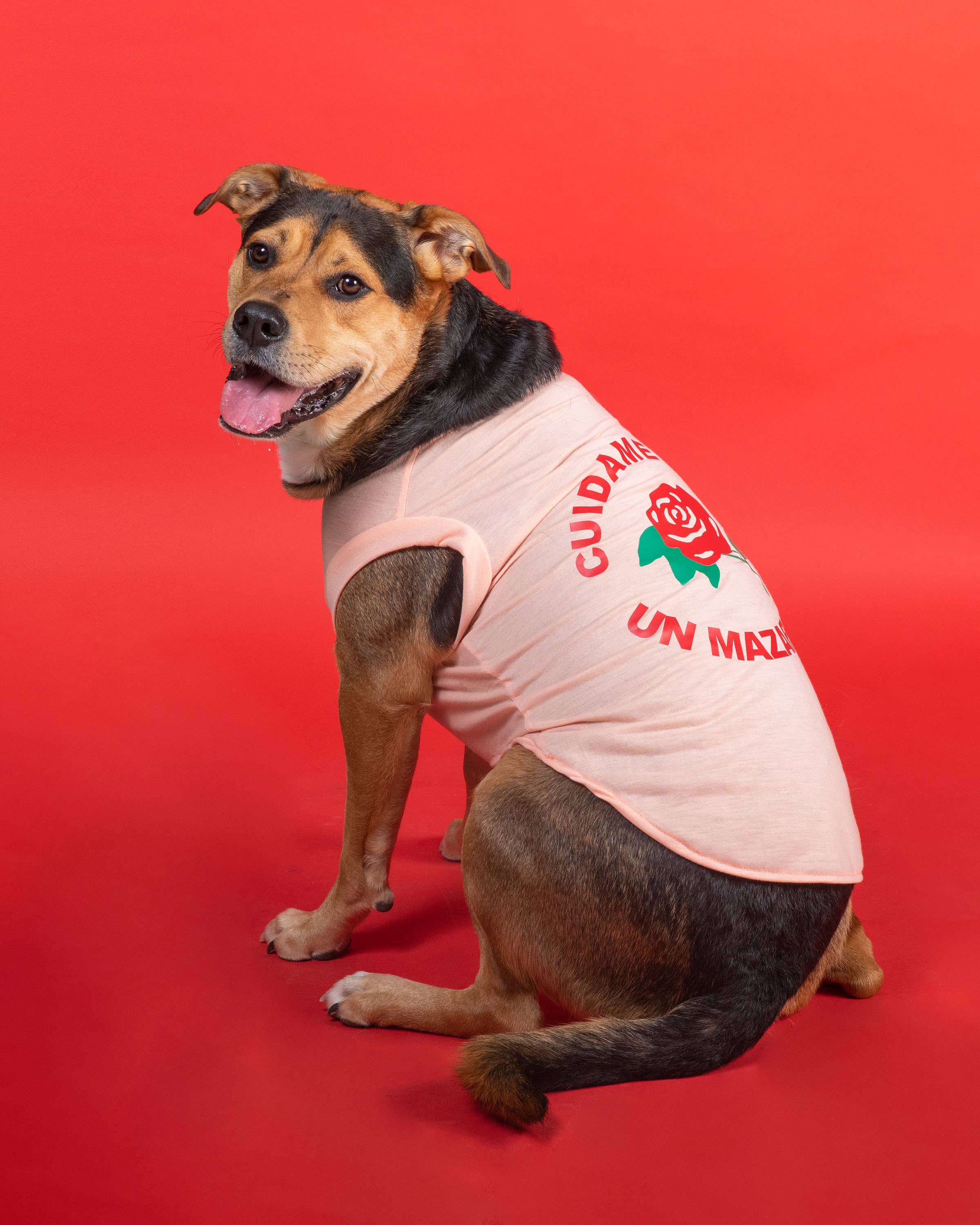 Pocha Pets Boutique – wholesale Pet shirt – Dog – Tee Mazapan