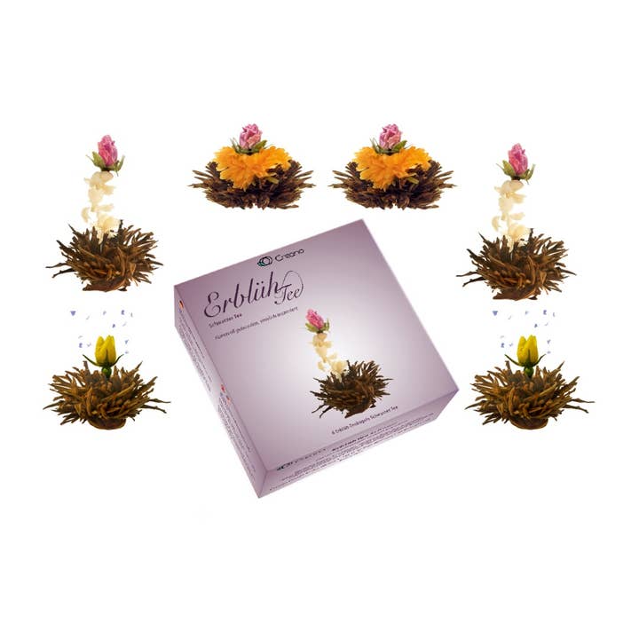 Creano - Vendita all'ingrosso Tè in bustine - Creano 6 tea flower blooming tea in elegante confezione regalo