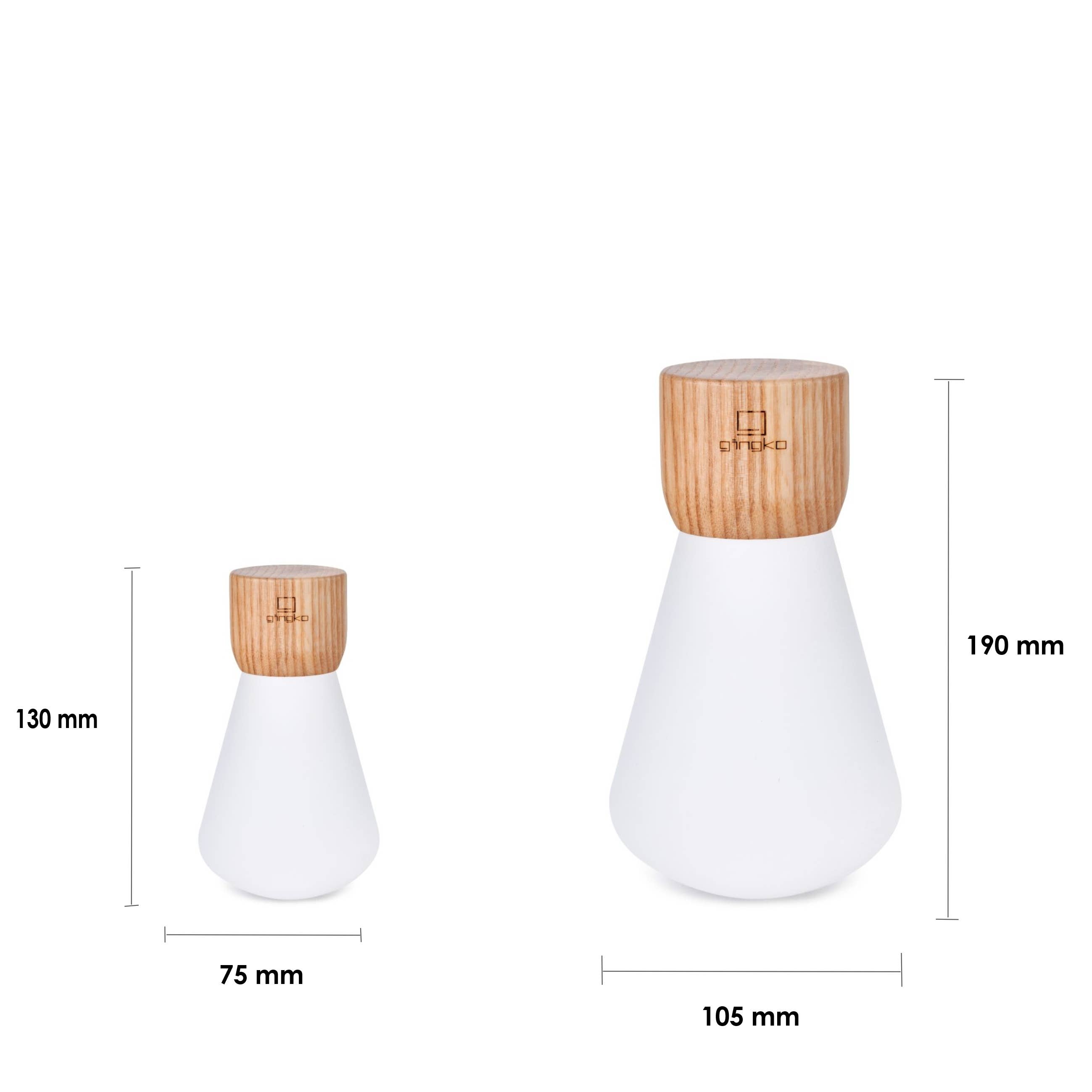 Gingko Design – wholesale Accent/desk lamp – Pentagon Portable Desk Bulb12